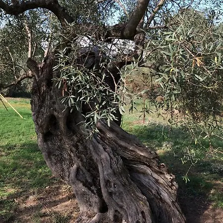 Rena Lägenhet Vourvourou