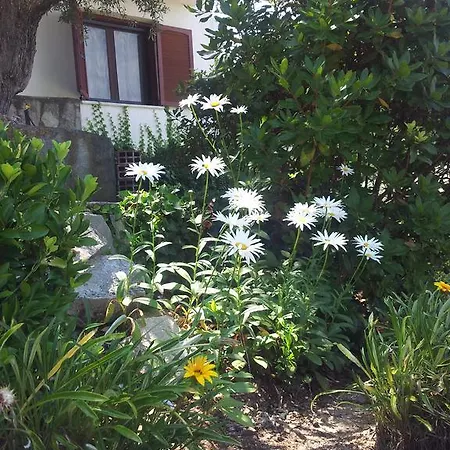 Appartement Rena