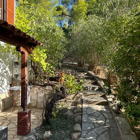 Apartament Rena *