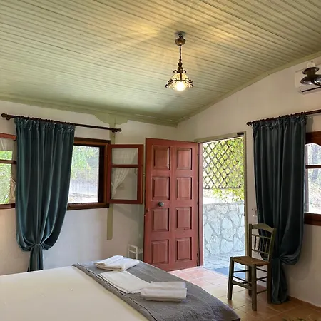 Rena ブアブロウ