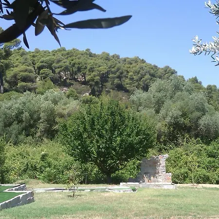 Apartament Rena *