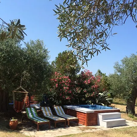 Rena ブアブロウ