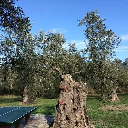 Apartament Rena