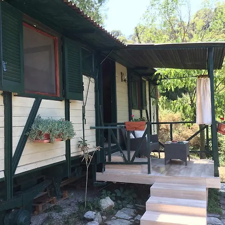 Apartament Rena *