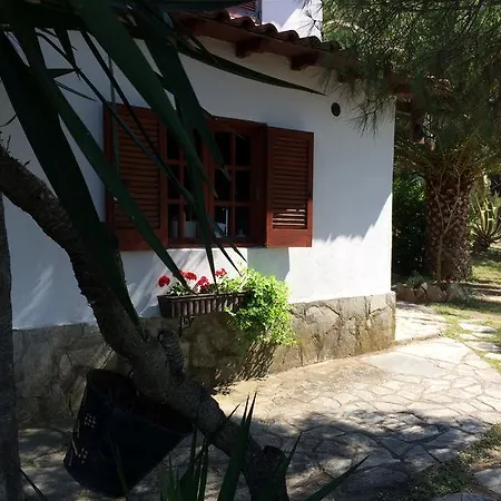 Rena ブアブロウ