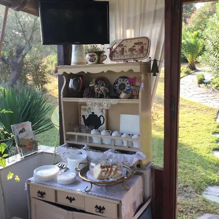 Rena Apartament *