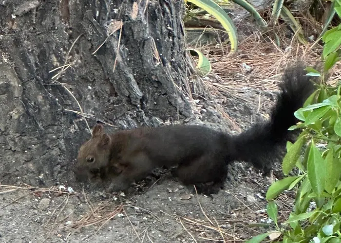 Rena Appartamento Vourvourou